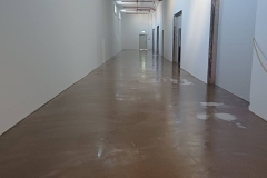 IBG-Image019
