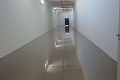 IBG-Image020